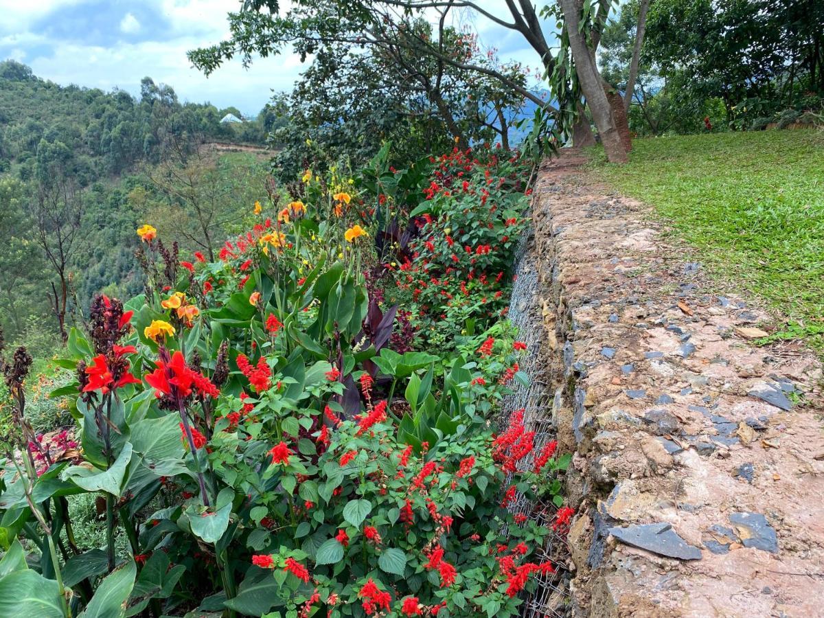 Chameleon Hill Forest Lodge Bwindi Impenetrable Park Kültér fotó