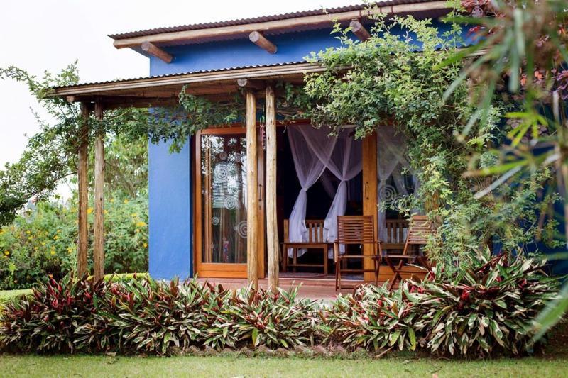 Chameleon Hill Forest Lodge Bwindi Impenetrable Park Kültér fotó