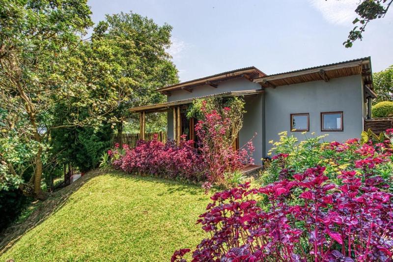 Chameleon Hill Forest Lodge Bwindi Impenetrable Park Kültér fotó