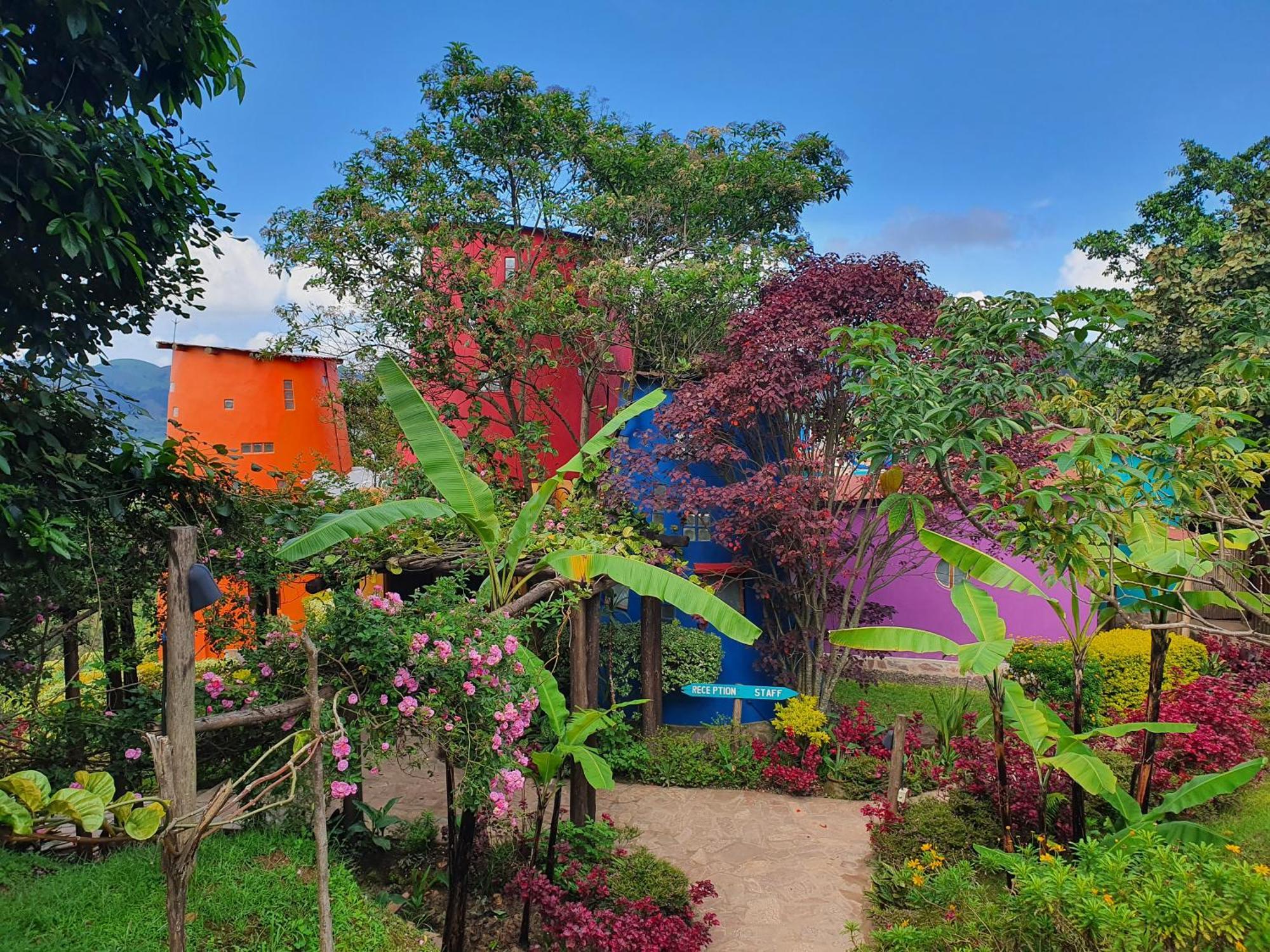 Chameleon Hill Forest Lodge Bwindi Impenetrable Park Kültér fotó